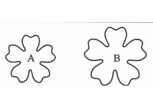 primrose set of 2 - 525 
